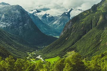 冬天给虎皮鹦鹉剪翅羽它会冷吗
